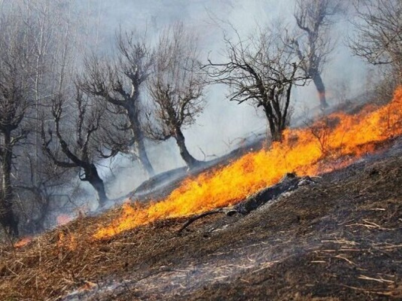 تلاش برای مهار آتش‌سوزی در دهلران ادامه دارد