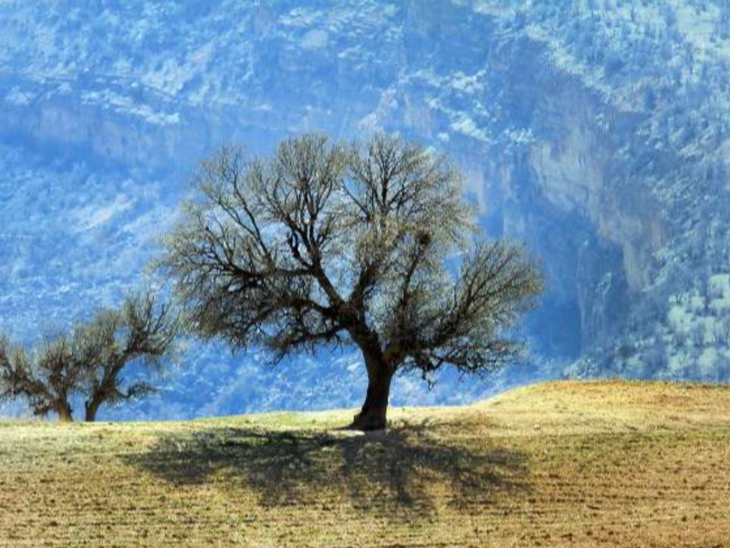 حفظ منابع طبیعی یک امر همگانی است