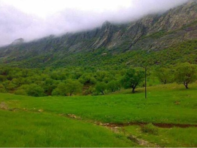 طبیعت بکر شهرستان چوار طبیعت بکر شهرستان چوار