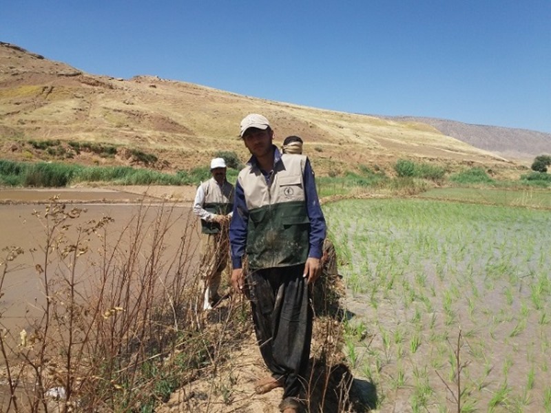 روایتی از خدمت رسانی بسیج در صحنه‌های مختلف