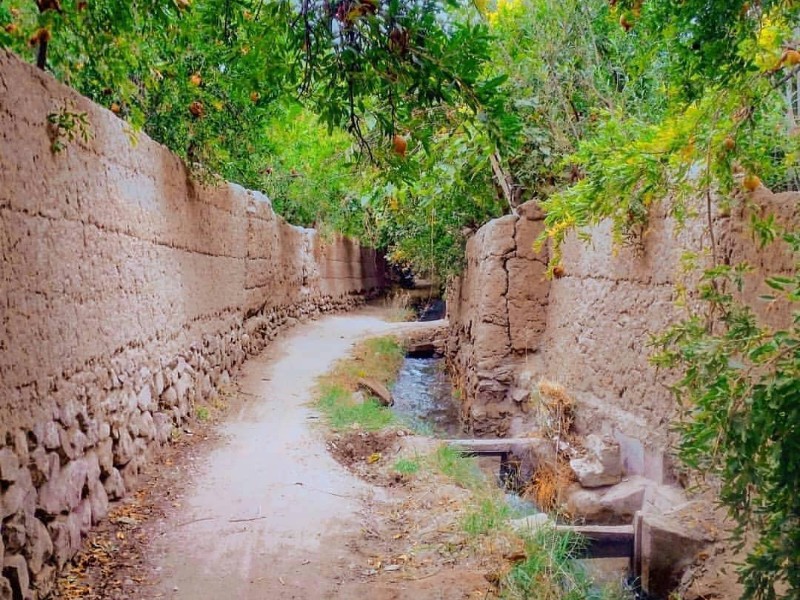  جلوهٔ زیبا از طبیعت پاییزی در ملکشاهی